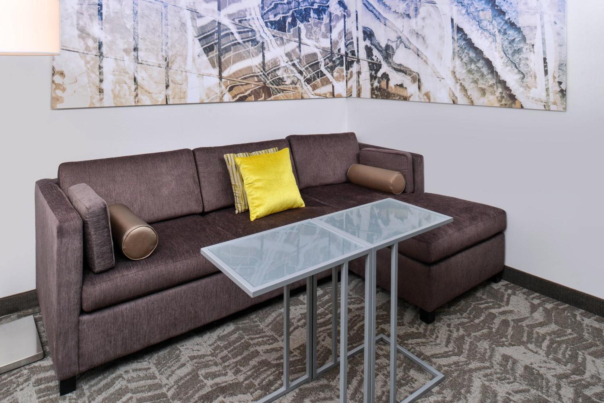 Springhill Suites By Marriott Detroit Metro Airport Romulus Bagian luar foto